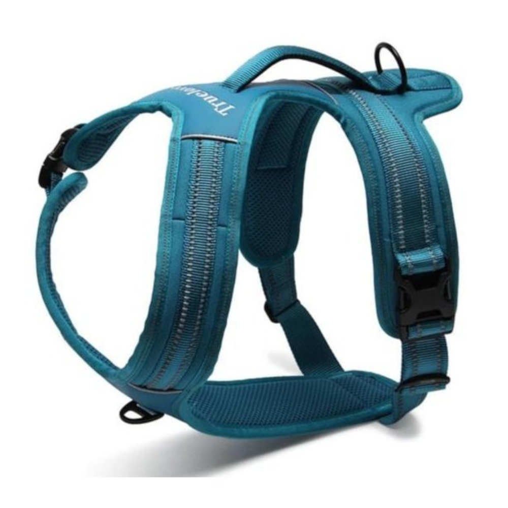 True Love Heavy Duty Sports Dog Harness Orange Xl