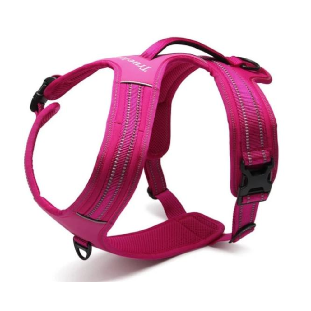 True Love Heavy Duty Sports Dog Harness Orange Xl