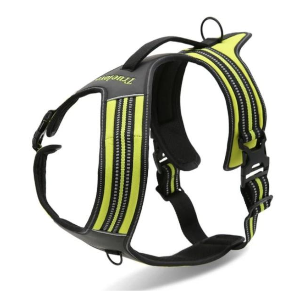 True Love Heavy Duty Sports Dog Harness Orange Xl
