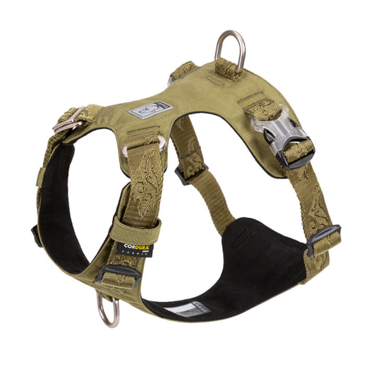 True Love Lightweight Dog Harness Green