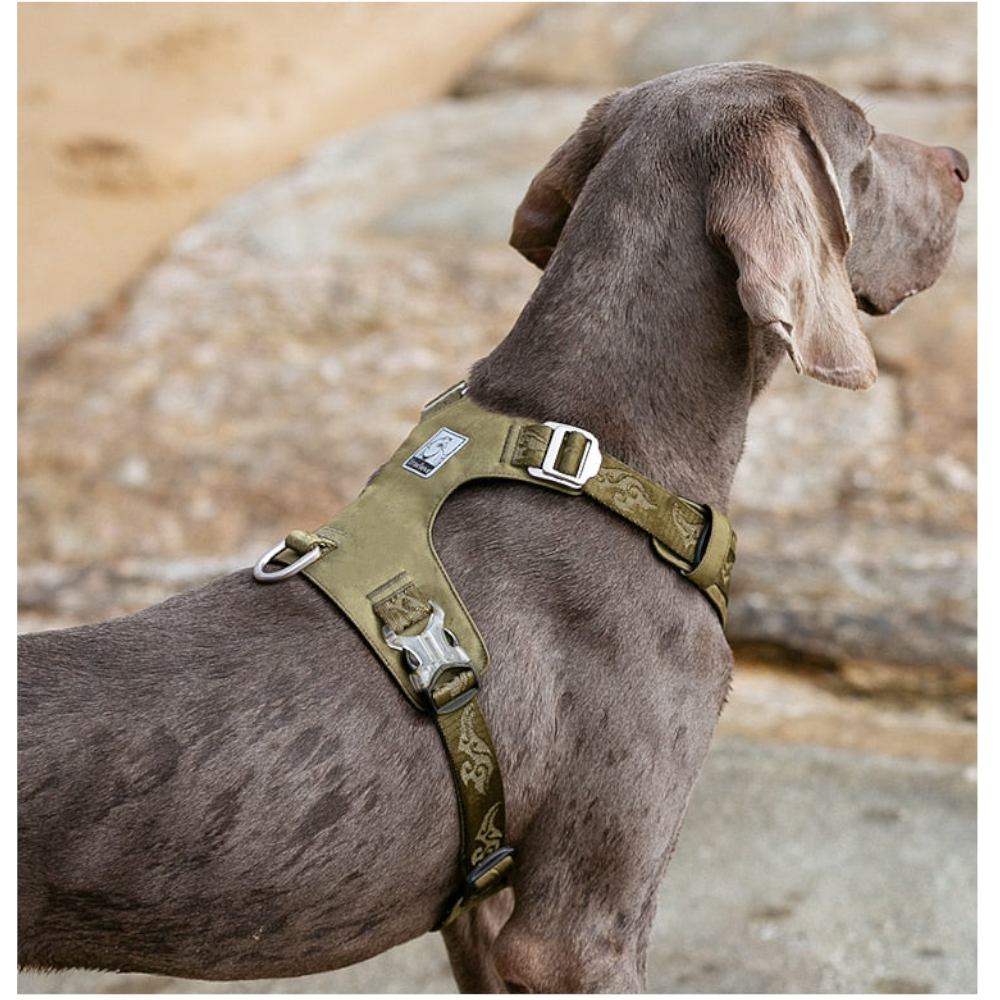 True Love Lightweight Dog Harness Green