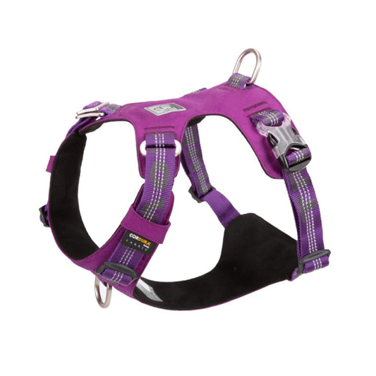 True Love Lightweight Reflective Harness Purple