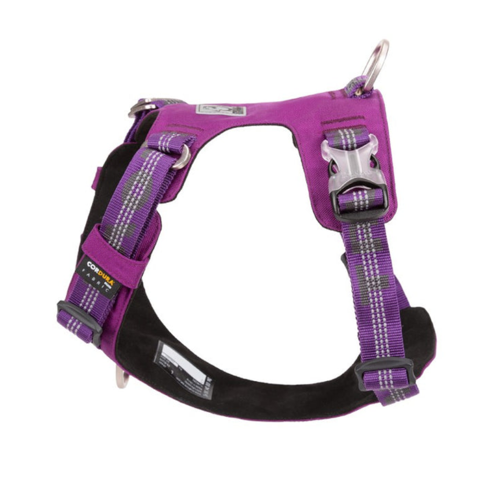 True Love Lightweight Reflective Harness Purple
