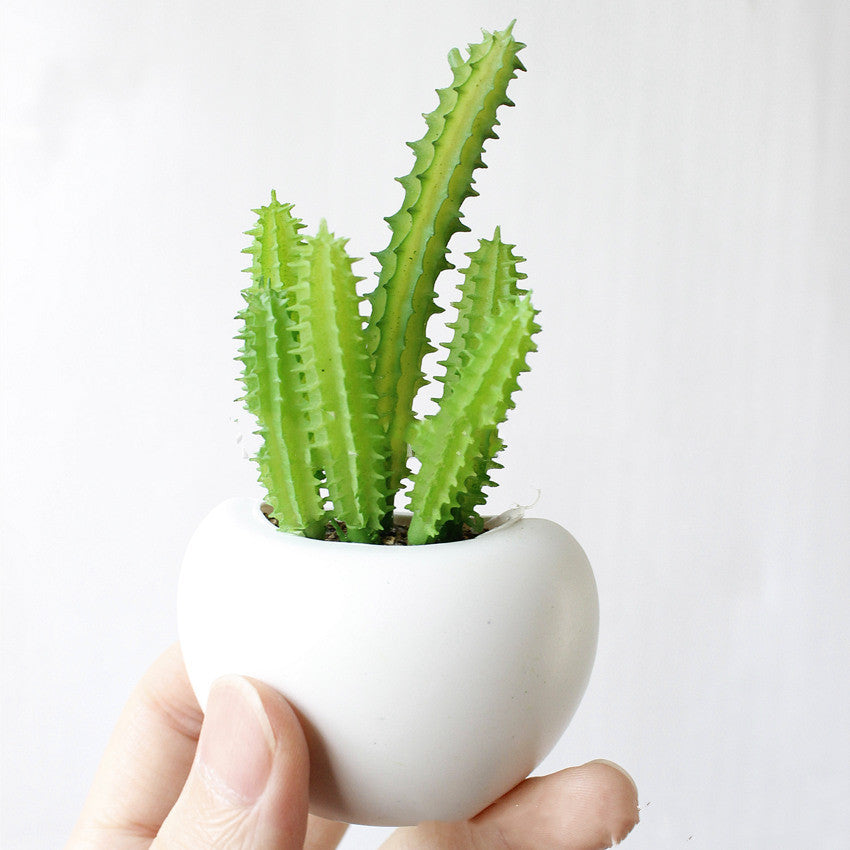 Cute Mini Succulent Plant Fridge Magnets