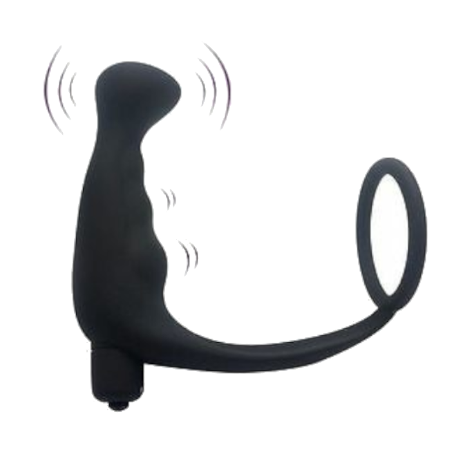 Anal Vibrator Cock Ring Testicle Male Prostate Massager