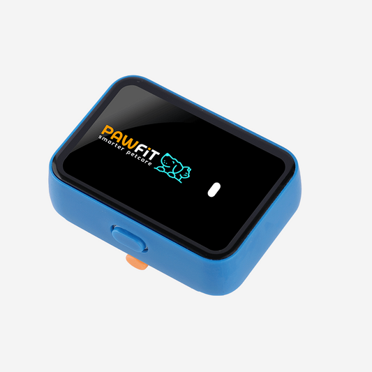 Pawfit 3 Case Blue