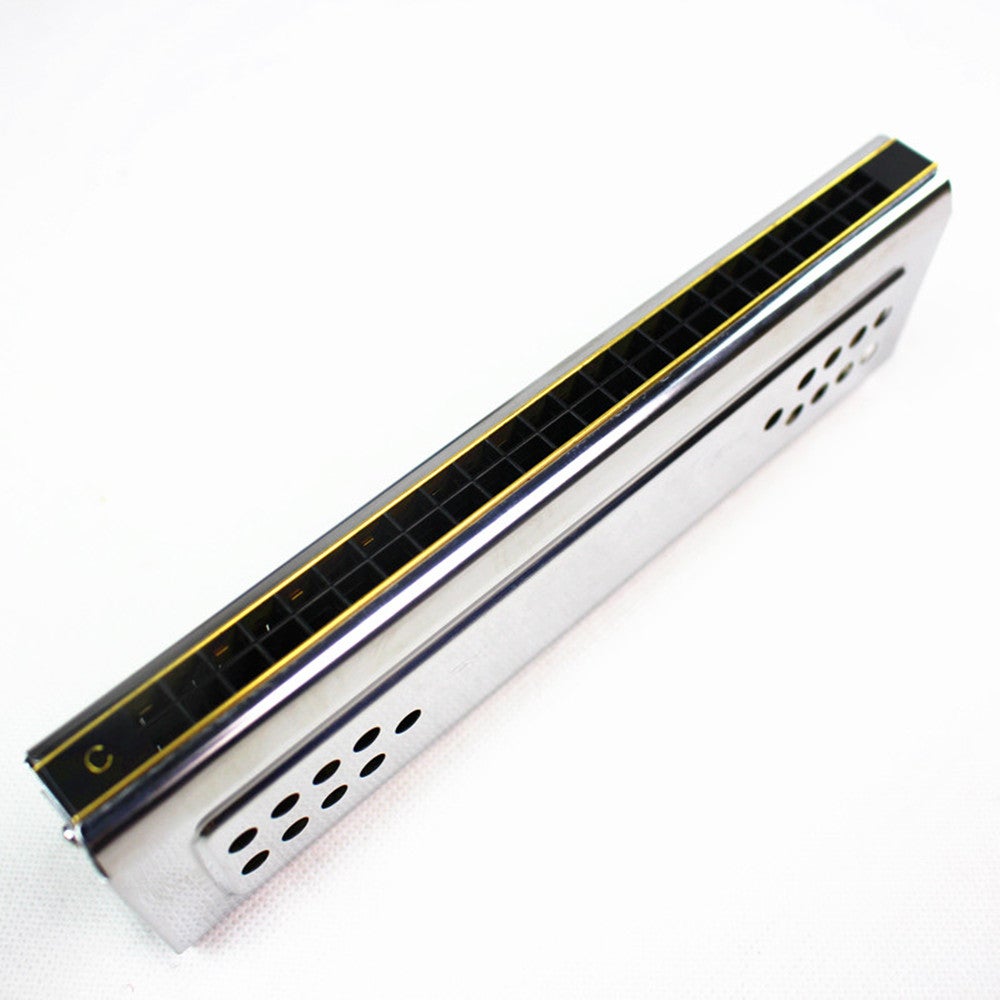 Both Sides Swan Harmonica Tremolo C G Key 24 Holes Double Harp Mouth Organ Woodwind Instruments