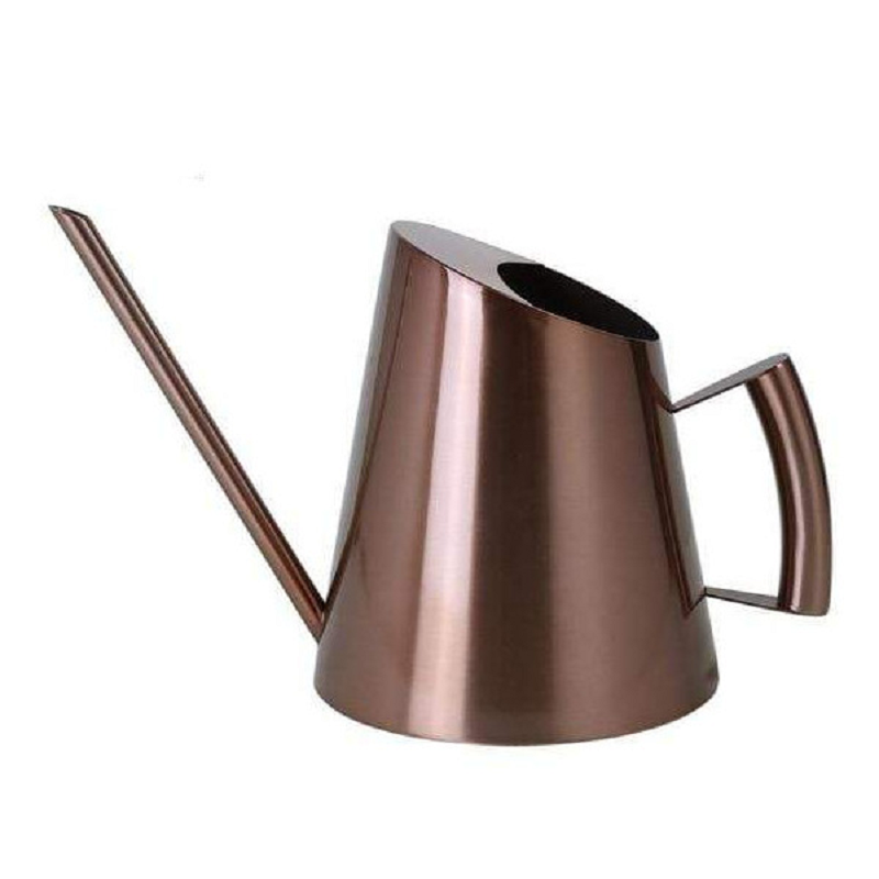 Bronze Or Gold Stainless Steel Watering Can Indoor Garden