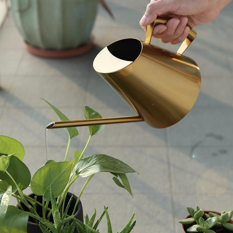 Bronze Or Gold Stainless Steel Watering Can Indoor Garden