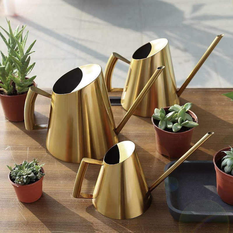 Bronze Or Gold Stainless Steel Watering Can Indoor Garden
