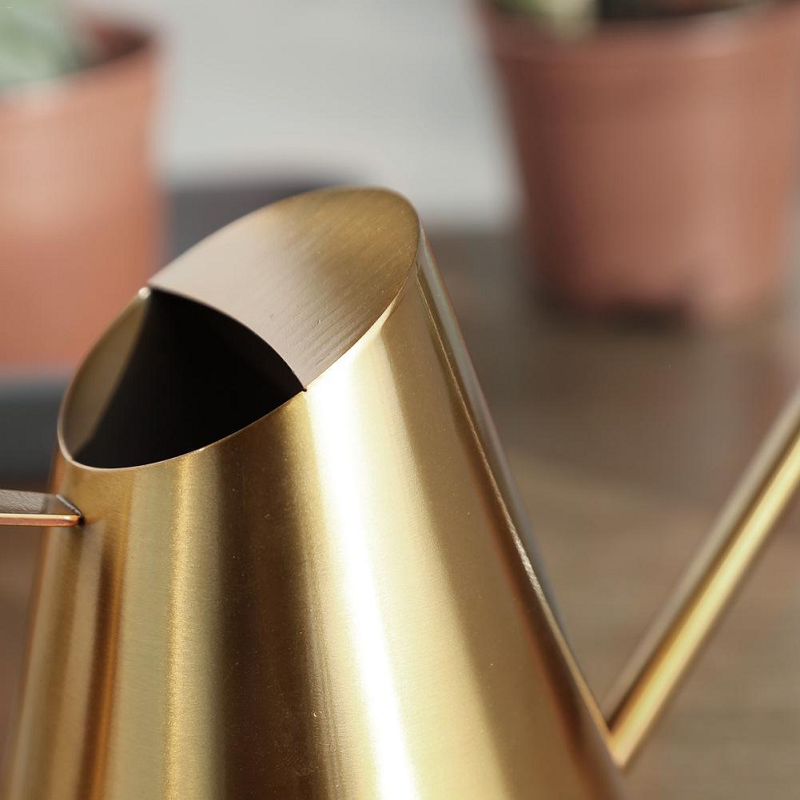 Bronze Or Gold Stainless Steel Watering Can Indoor Garden