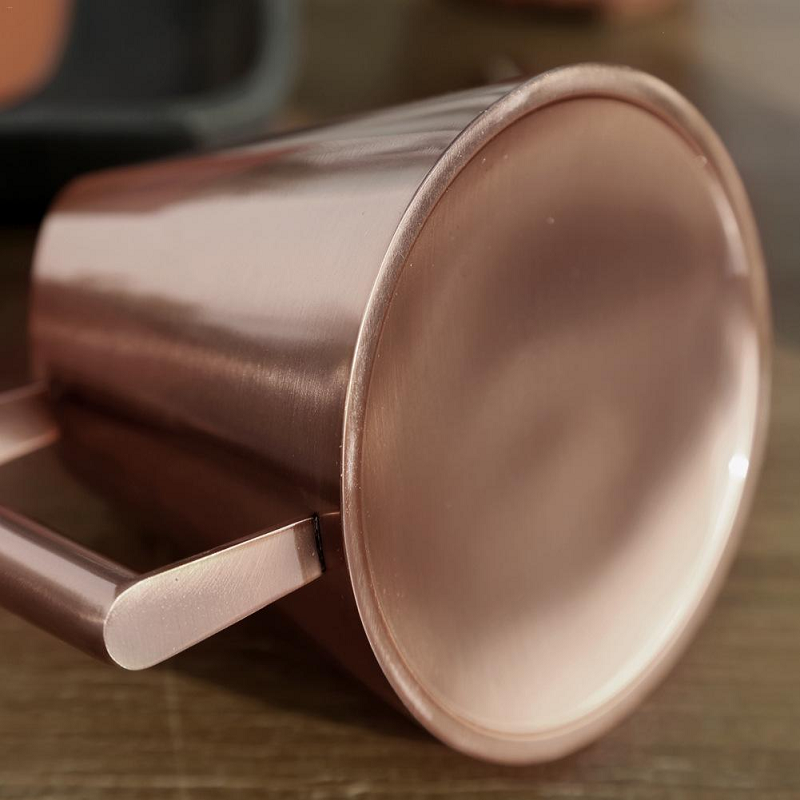 Bronze Or Gold Stainless Steel Watering Can Indoor Garden