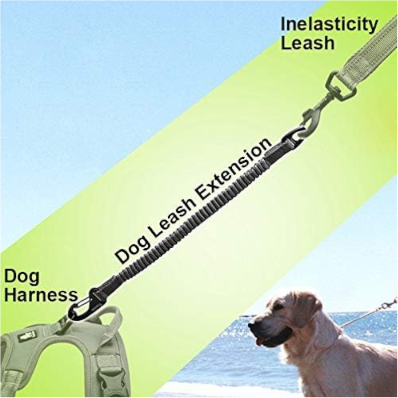 1 Sets of True Love 1 Sets Of Attachment Leash For Leashes Collars Harnesses Minimises Jerks