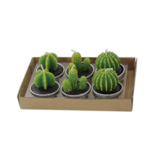 6Pcs/Set Artificial Cactus Succulent Plant Green Mini Candles Dcor