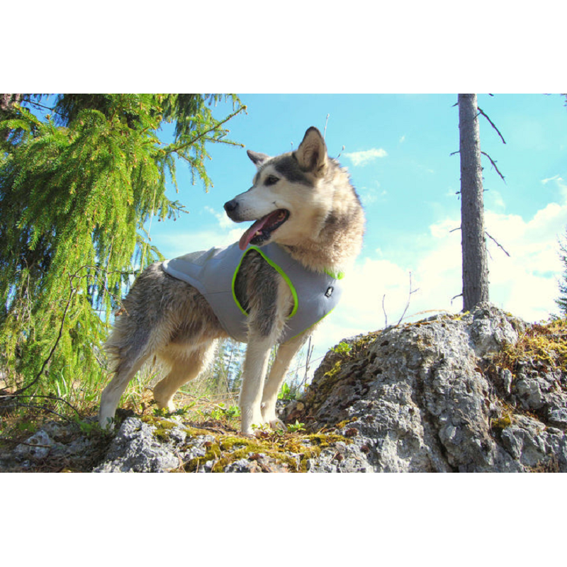 Cooling Vest Neon Yellow M Dog Comfortable Rings Leash Attaching Hoop-And-Loop Tape Zipper