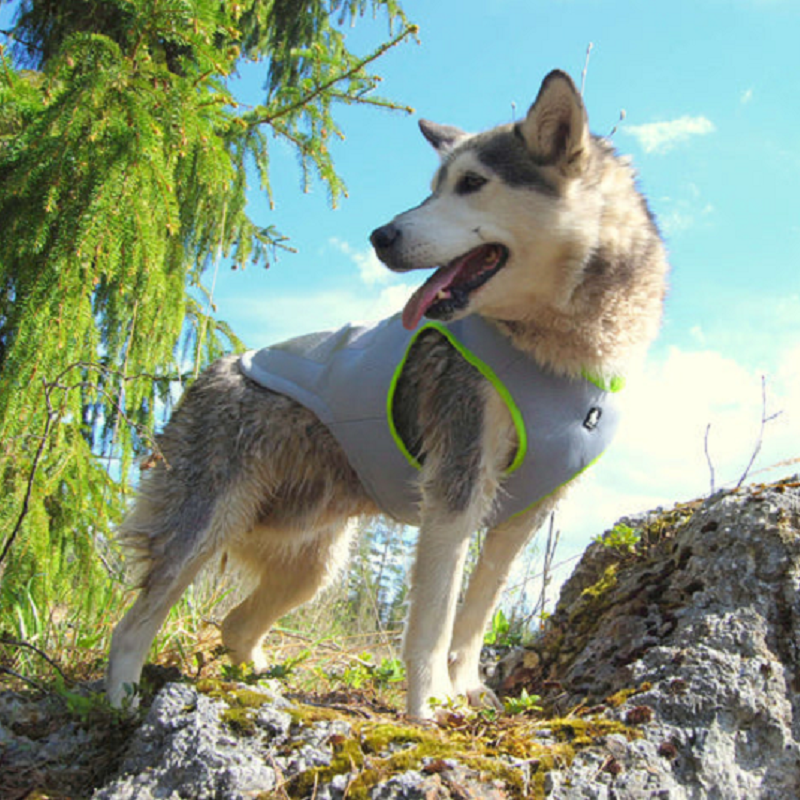 Cooling Vest Neon Yellow M Dog Comfortable Rings Leash Attaching Hoop-And-Loop Tape Zipper