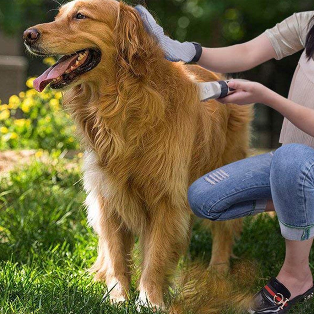 Cordless Electric Pet Clipper Grooming Set Safe Waterproof Blade