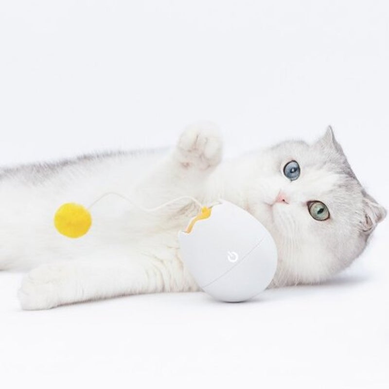 Xiaomi Creative Eggshell Shaped Pet Toy Electric Interactive Cat Partner From Youpin White
