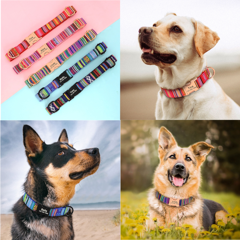 Custom Printed Dog Collars Small Large Dogs