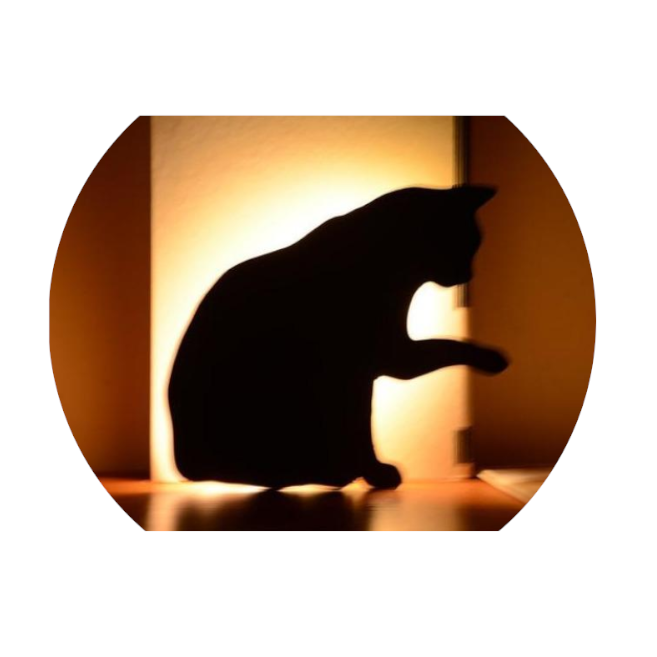Cute Cat Wall Led Motion Sensor Lamp Smart Night Light