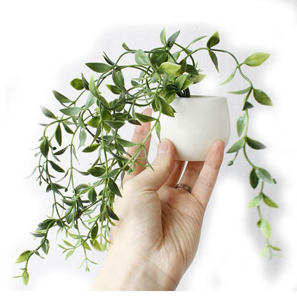 Cute Plant Fridge Magnets Succulent Cactus Orchid Refridgerator Decorations