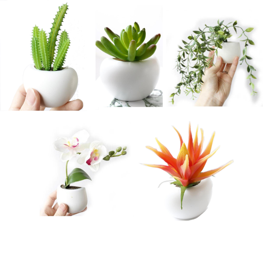 Cute Plant Fridge Magnets Succulent Cactus Orchid Refridgerator Decorations