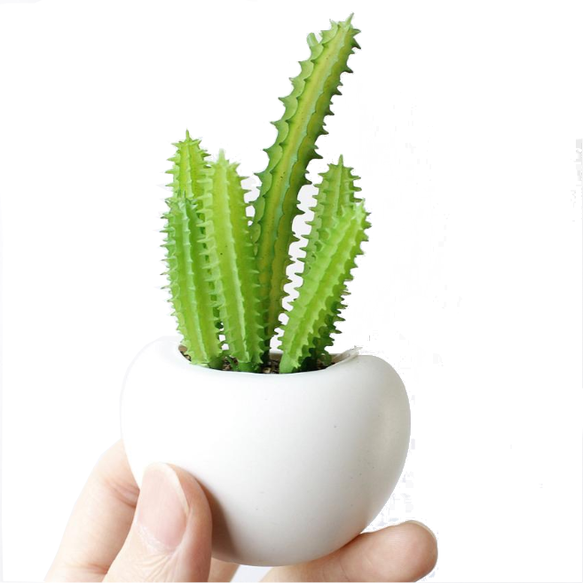 Cute Plant Fridge Magnets Succulent Cactus Orchid Refridgerator Decorations