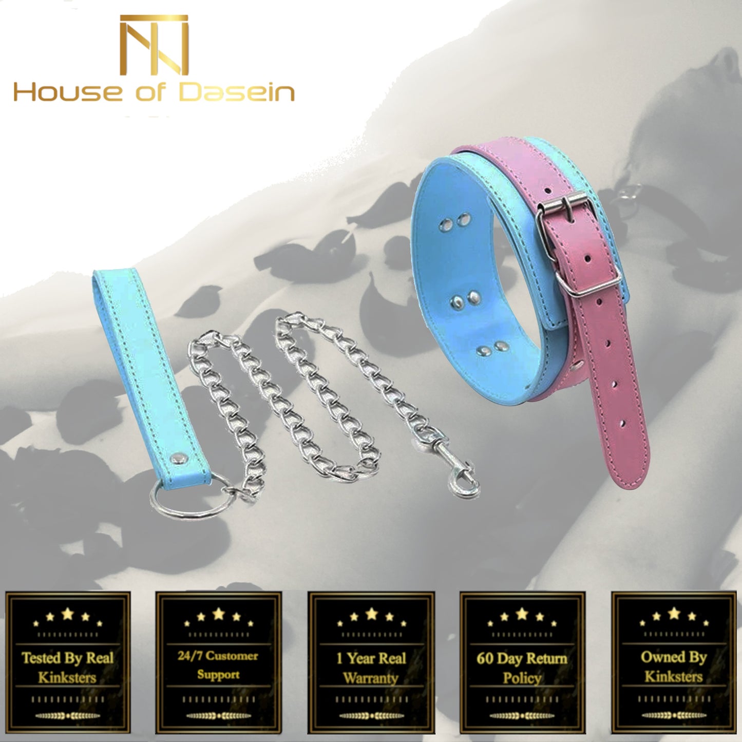 Cute Pastel Pink And Blue Collar With Leash Bdsm Puppy Pet Play