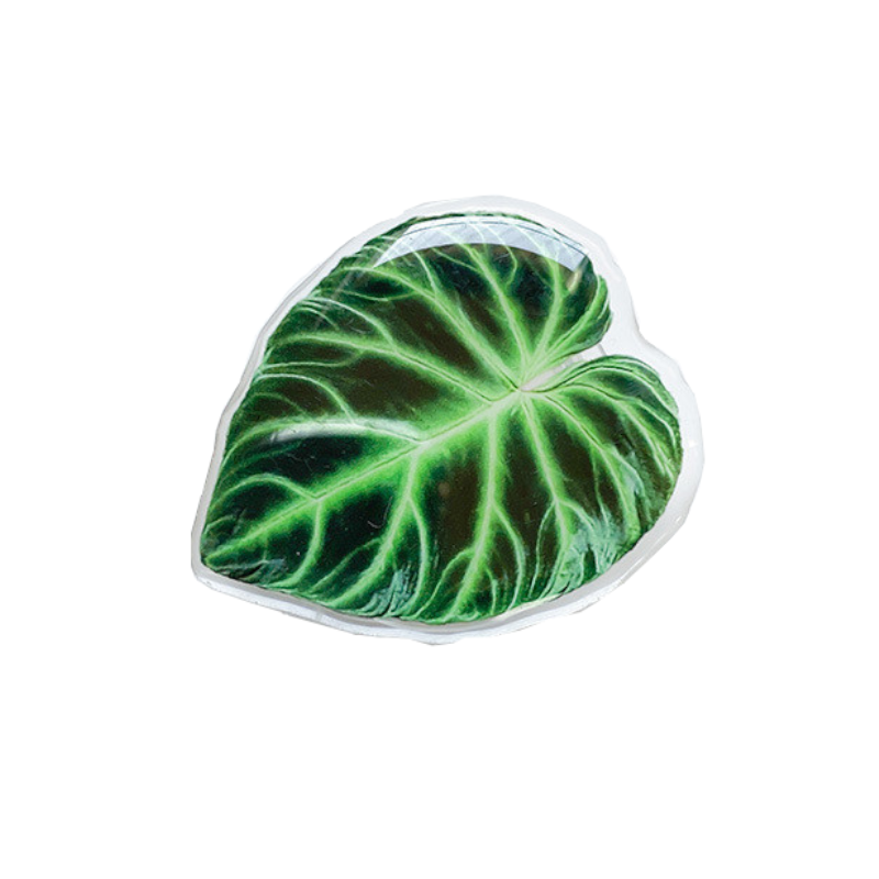 Cute Green Leaves Smart Phone Holder Finger Stand