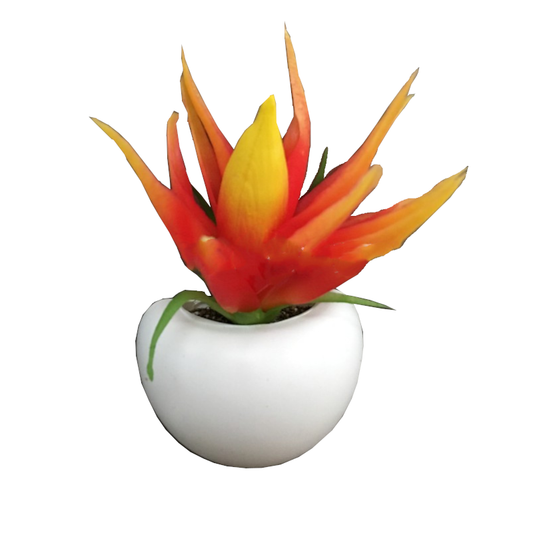 Cute Mini Succulent Plant Fridge Magnets
