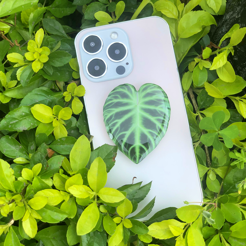Cute Green Leaves Smart Phone Holder Finger Stand
