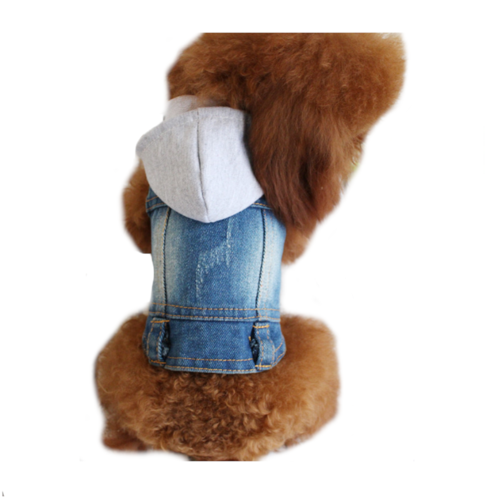Designer Denim Dog Clothes Small Jacket Pet Clothing