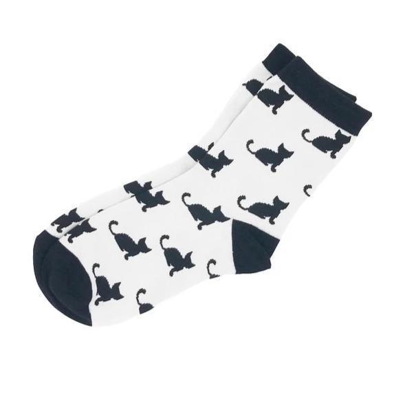 Dino Pastel Sockies