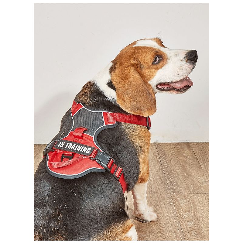 Dog Harness No Pull Outdoor Walking Breathable Reflective Small