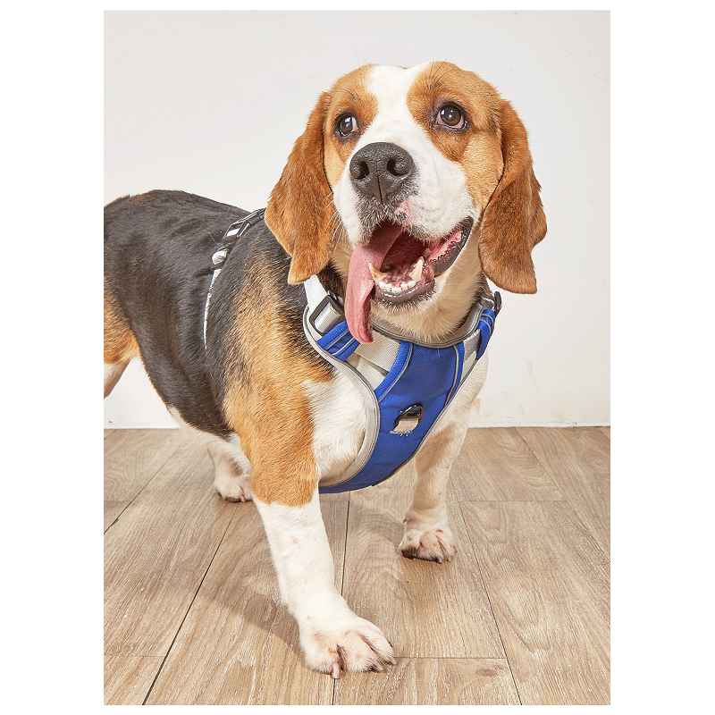 Dog Harness No Pull Outdoor Walking Breathable Reflective Small