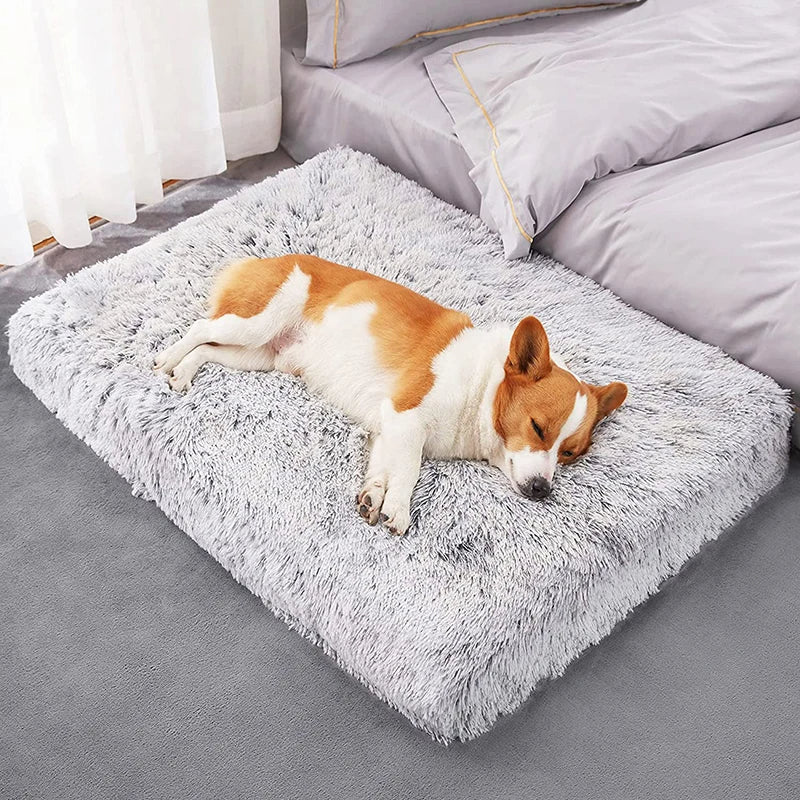 Pet Bed Purple Removable Calming Soft Plush Cushion Mat