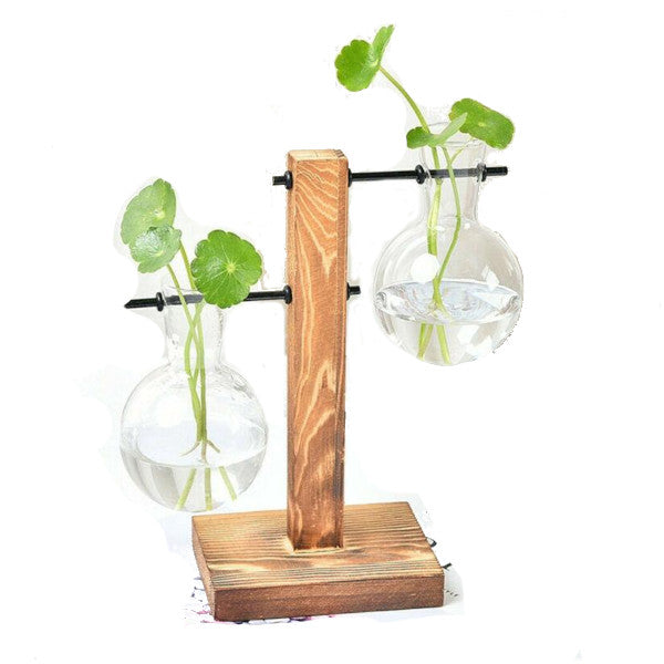 Duo Terrarium Vase Indoor Plants Decor