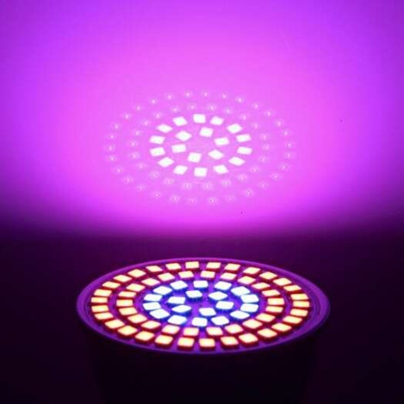 Durable 5W Ac220v Gu10 Led Plant Growth Light Bulb Red With Blue
