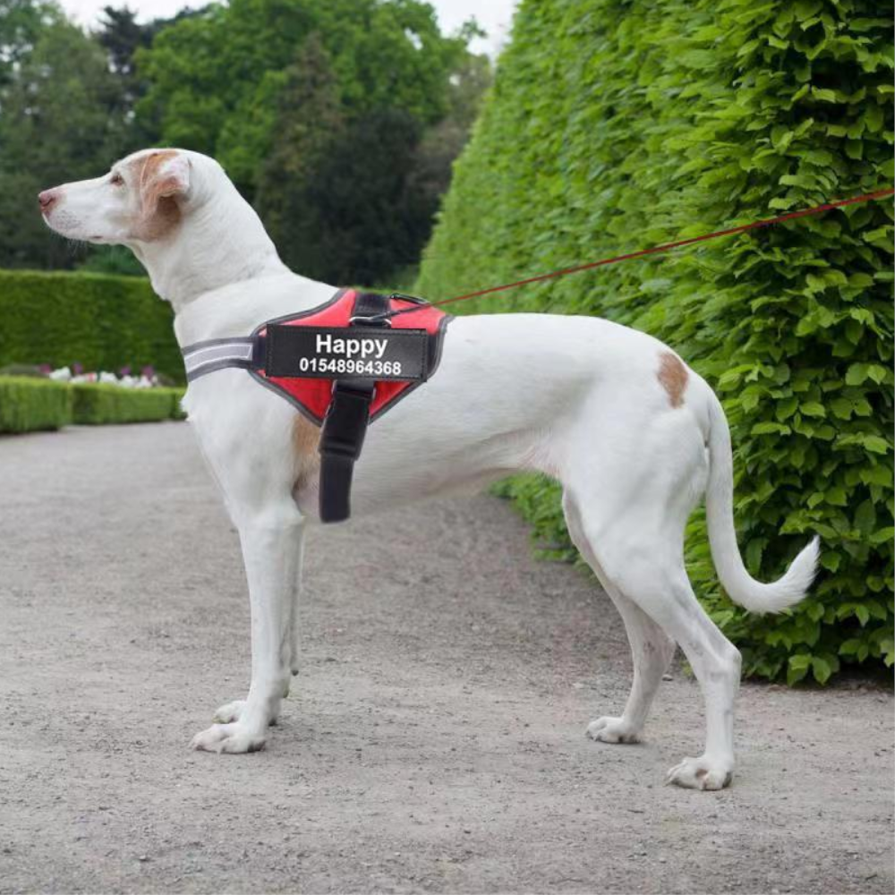 Easy Snap Reflective Dog Harness With Custom Id Patch
