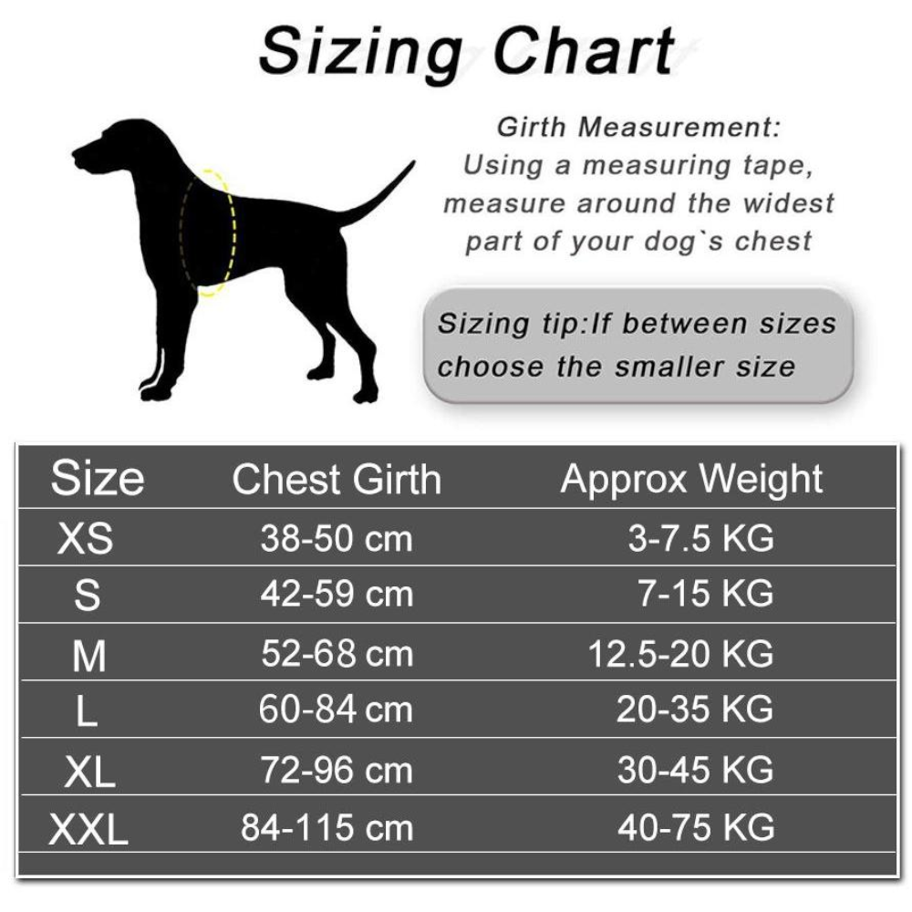 Easy Snap Reflective Dog Harness With Custom Id Patch