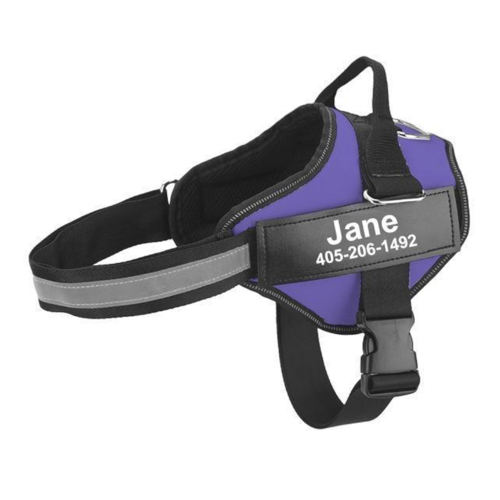 Easy Snap Reflective Dog Harness With Custom Id Patch