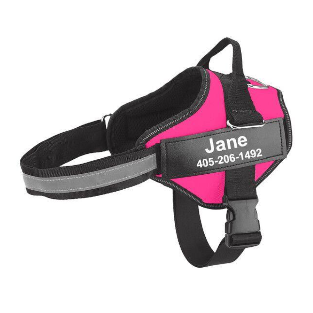 Easy Snap Reflective Dog Harness With Custom Id Patch