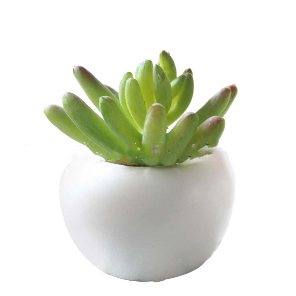 Cute Mini Succulent Plant Fridge Magnets