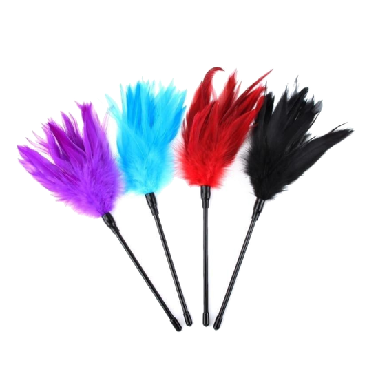 Feather Play Tickler Bdsm Clit Kink Fetish Restraints