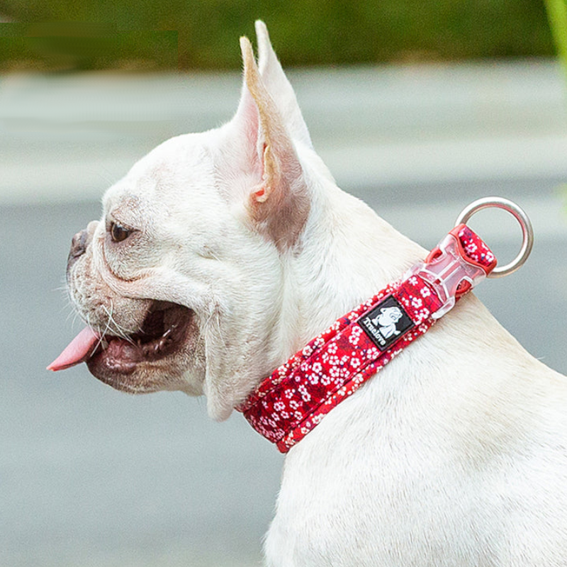 Floral Collar Poppy Red L