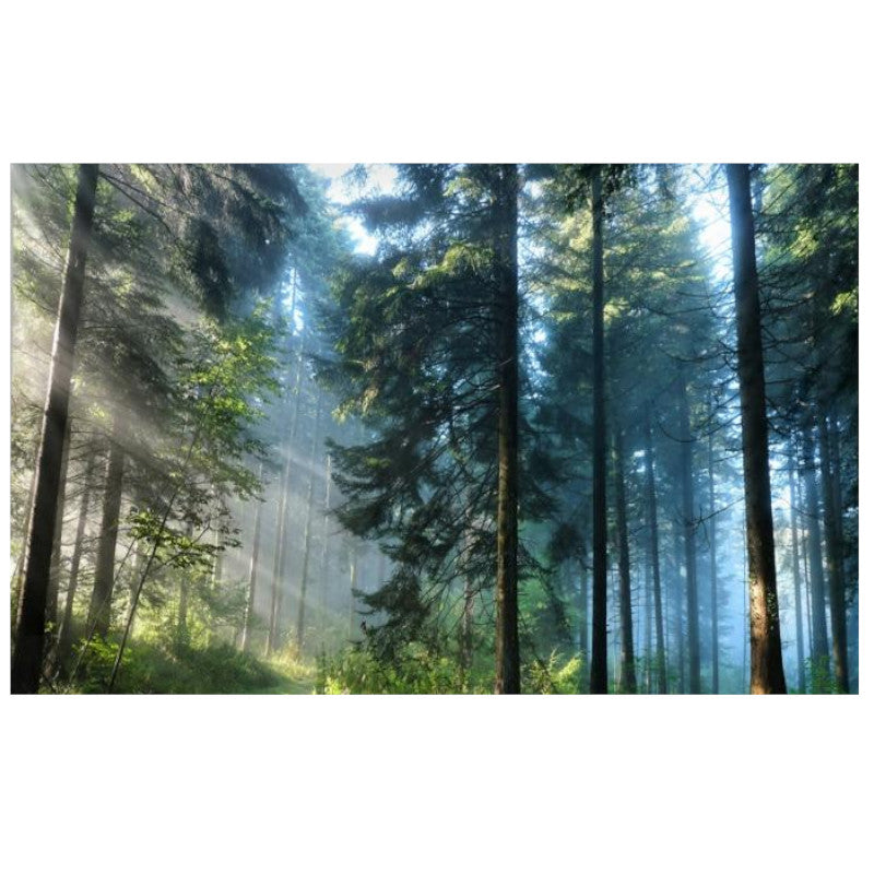 Beautiful Printed Natural Forest Large Wall Tapestry Bohemian Art