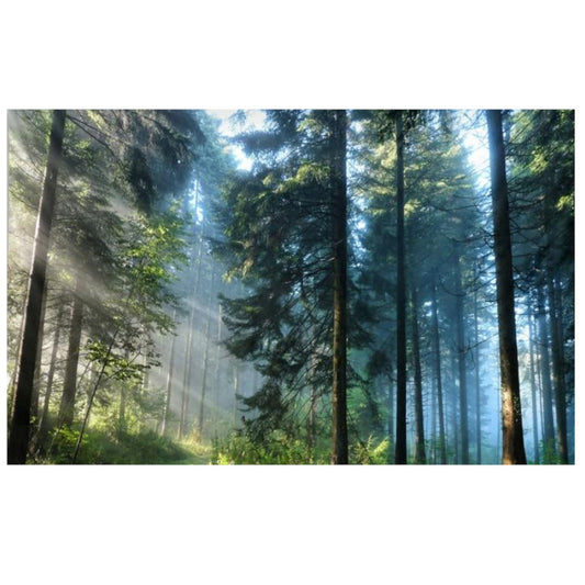 Beautiful Printed Natural Forest Large Wall Tapestry Bohemian Art