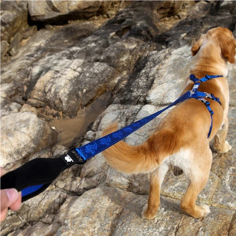 Whinyepet Dog Leash 2Cm Width And 1.4 M Length - Black