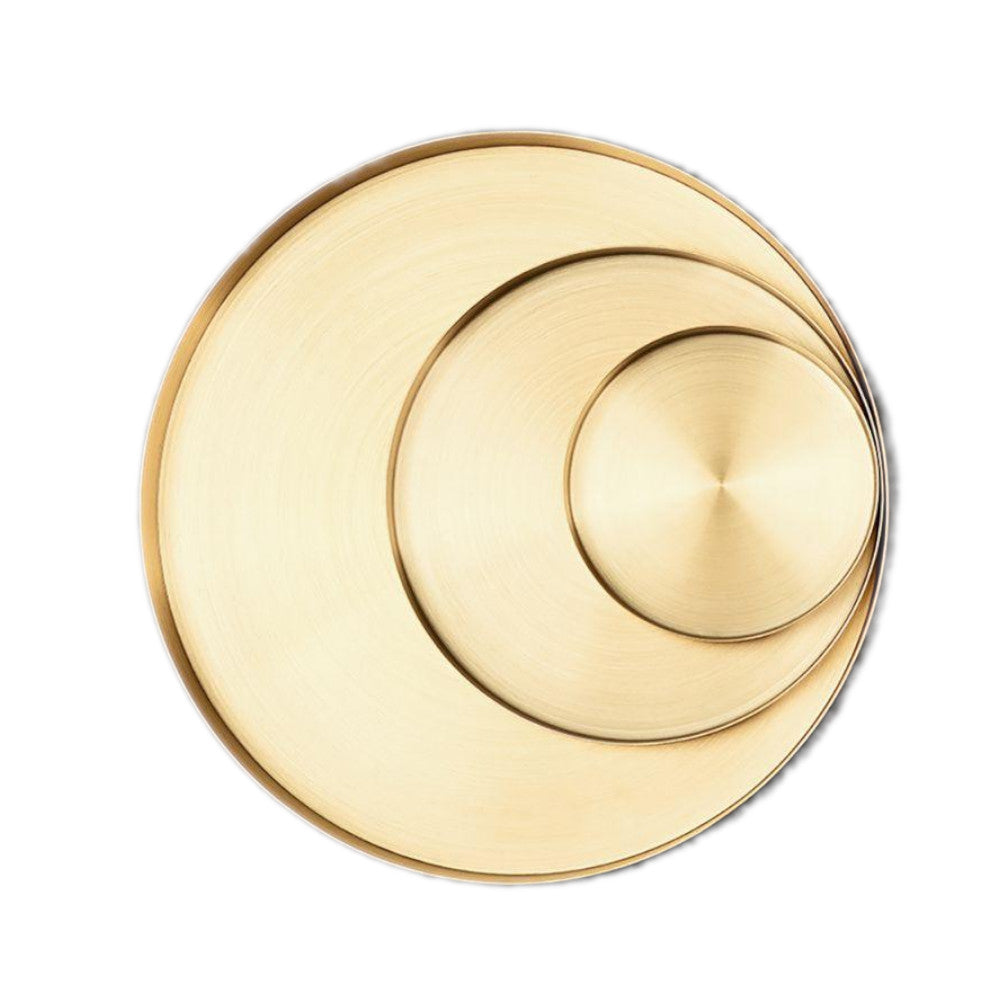 Stainless Steel Golden Tray Storage Decor
