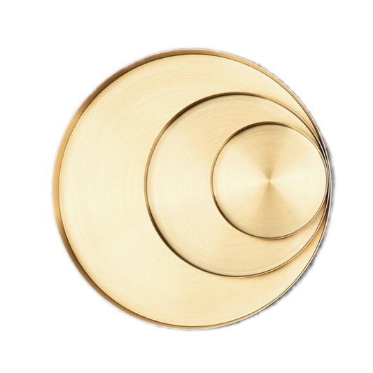 Stainless Steel Golden Tray Storage Decor